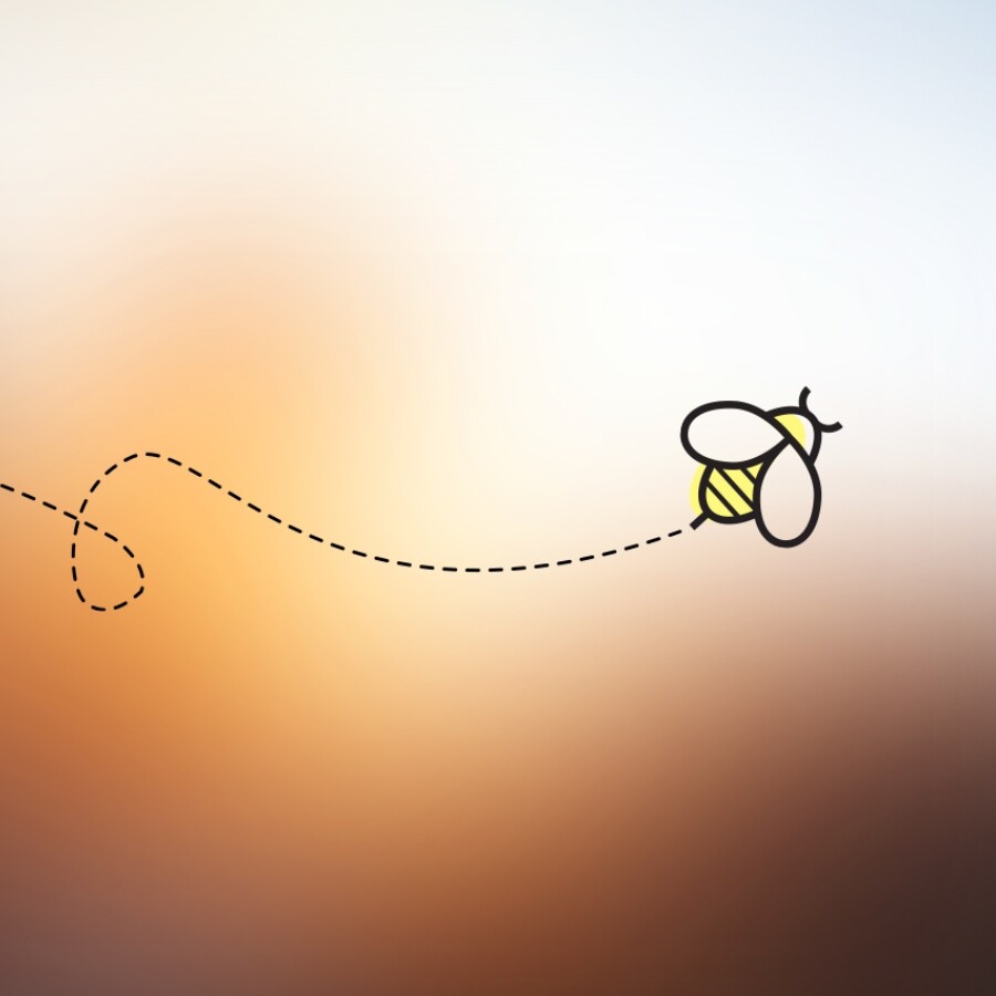 Header Privacy Bee 6